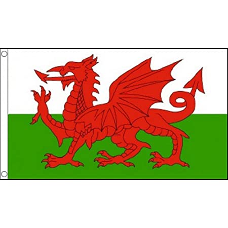 Flag Welsh 90x 150cm